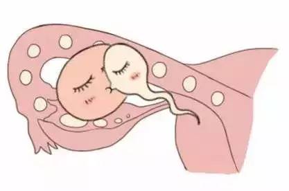 层流实验室